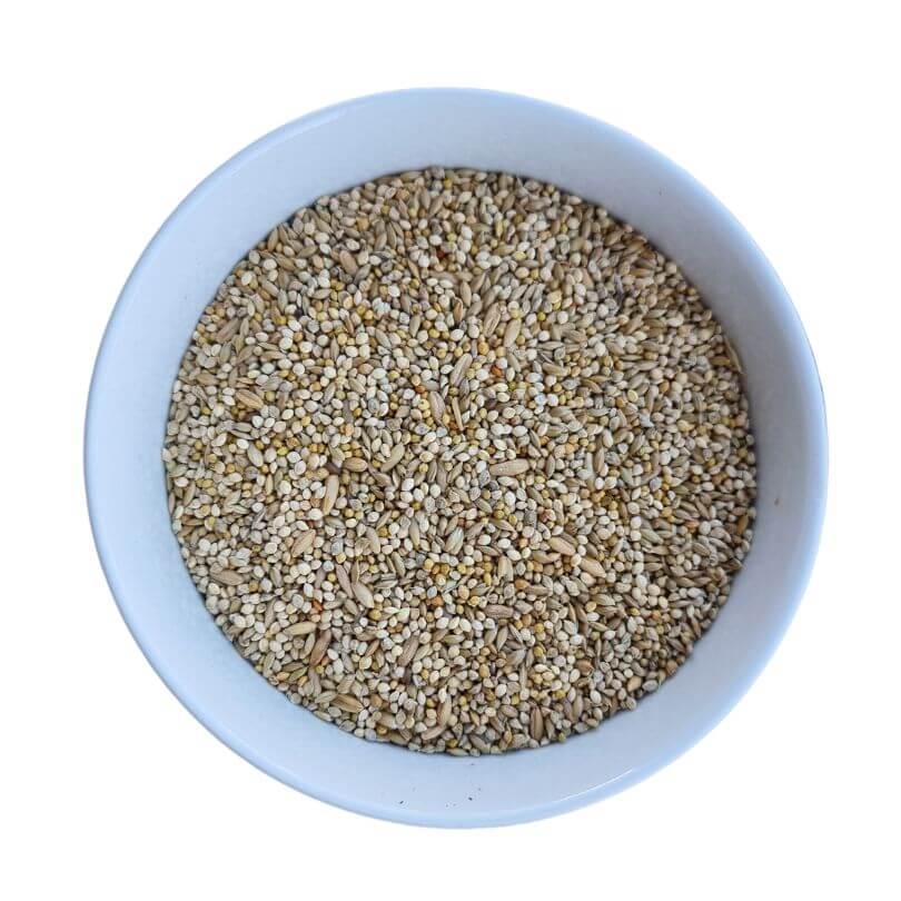 Basic Budgie Seed Blend Bulk