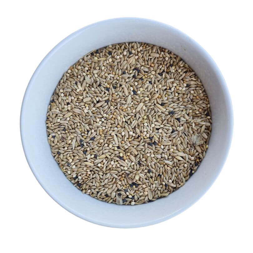 Basic Canary Seed Blend Bulk