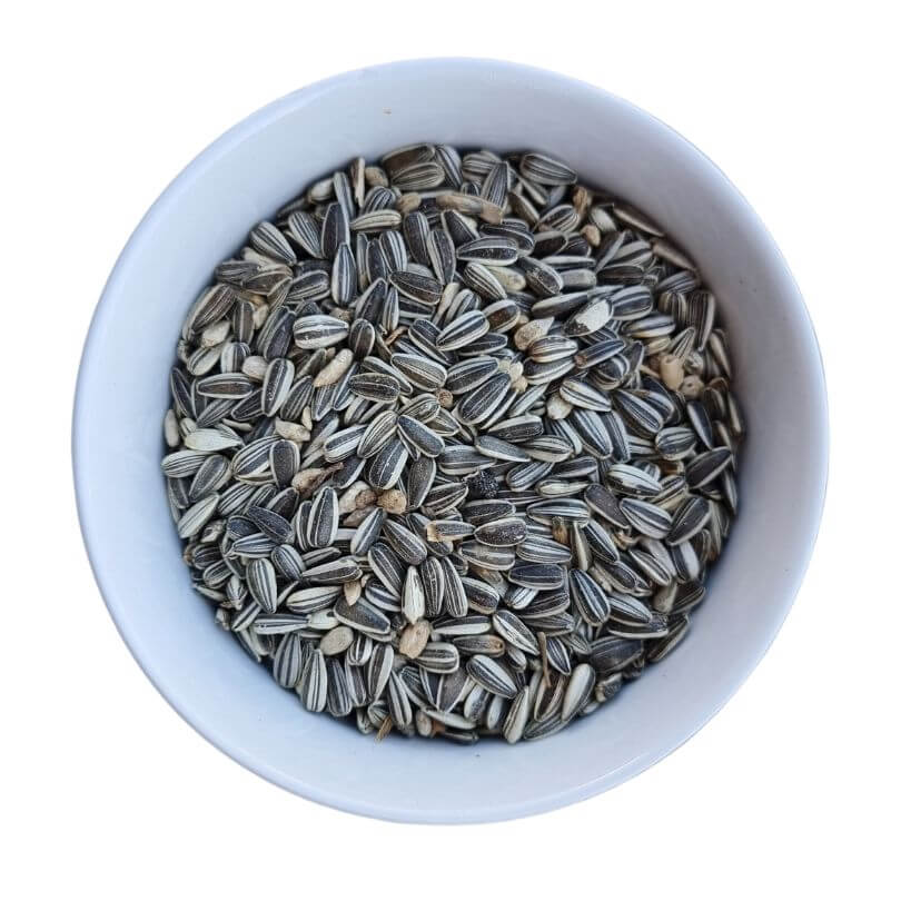 Basic Grey-stripe Sunflower Seed Bulk