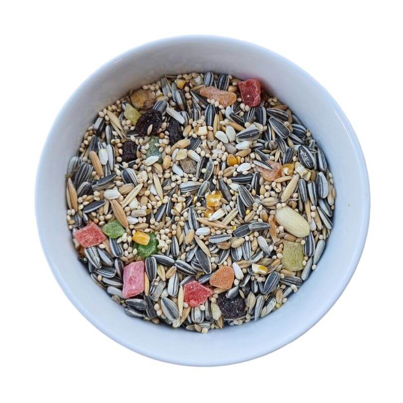 Basic Parrot Seed Blend Bulk