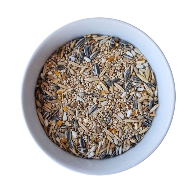 Basic Small Parrot Seed Blend Bulk
