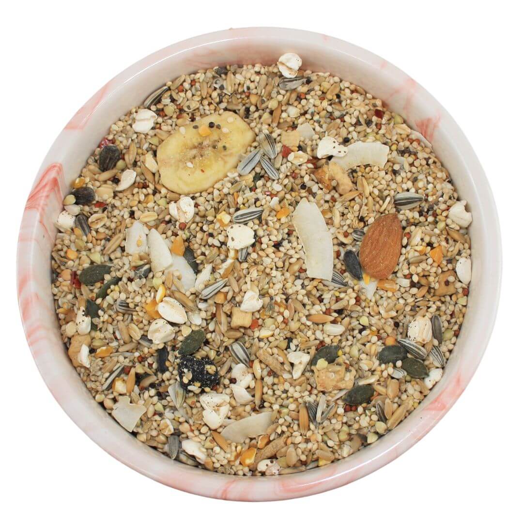 Conure Blend