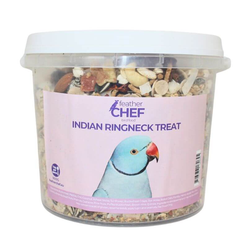 Indian Ringneck Treat