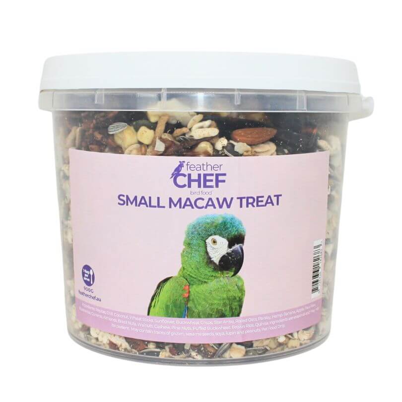 Small Macaw Treat