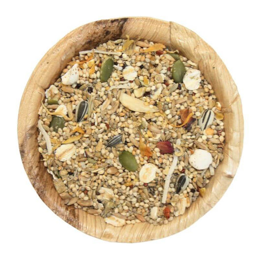 Aussie Medium Parrot Seed Blend