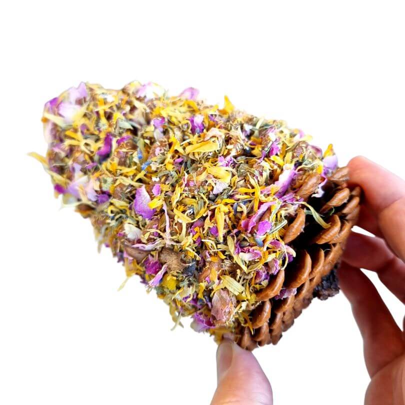 Floral Pinecone Chews 2pk - Raw for Birds