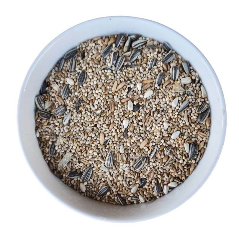 Basic Cockatiel Seed Blend 1kg