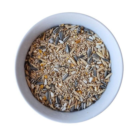 Basic Small Parrot Seed Blend 1kg