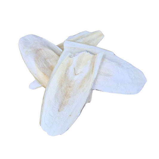 Parrot Deli Natural Bird Cuttlebone