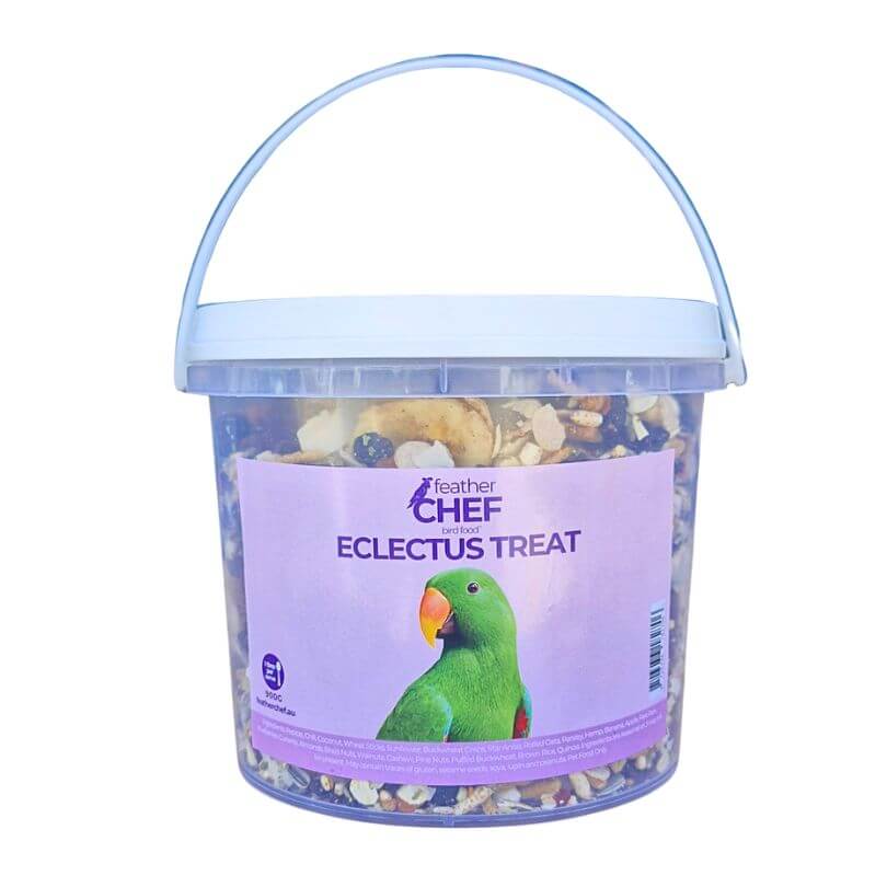 Eclectus Treat