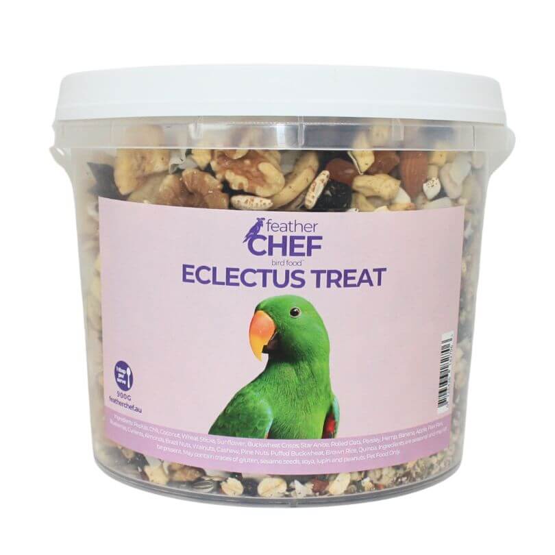 Eclectus Treat