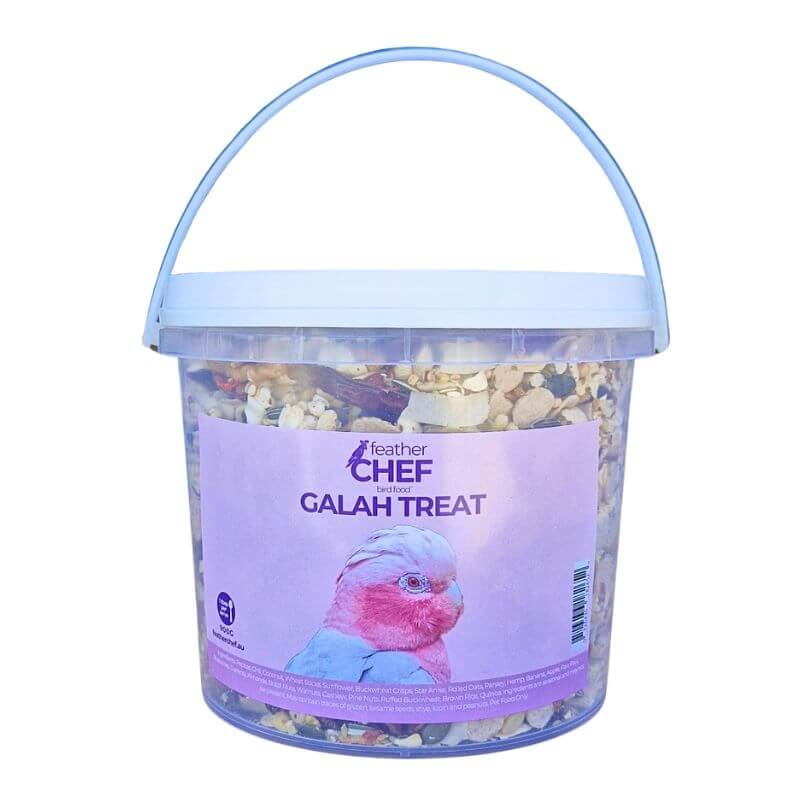 Galah Treat