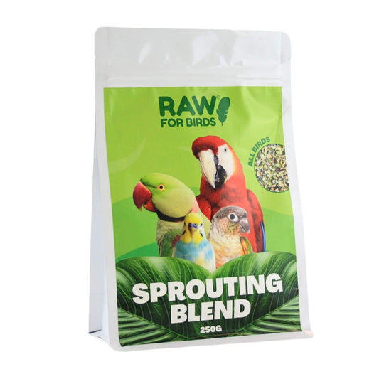 Sprouting Blend