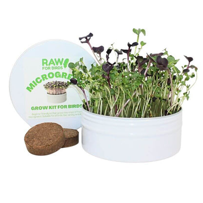 Bird Microgreens Grow Kit
