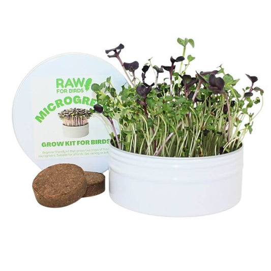 Bird Microgreens Grow Kit