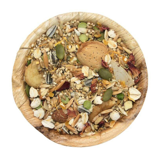 Indian Parrot Seed Blend