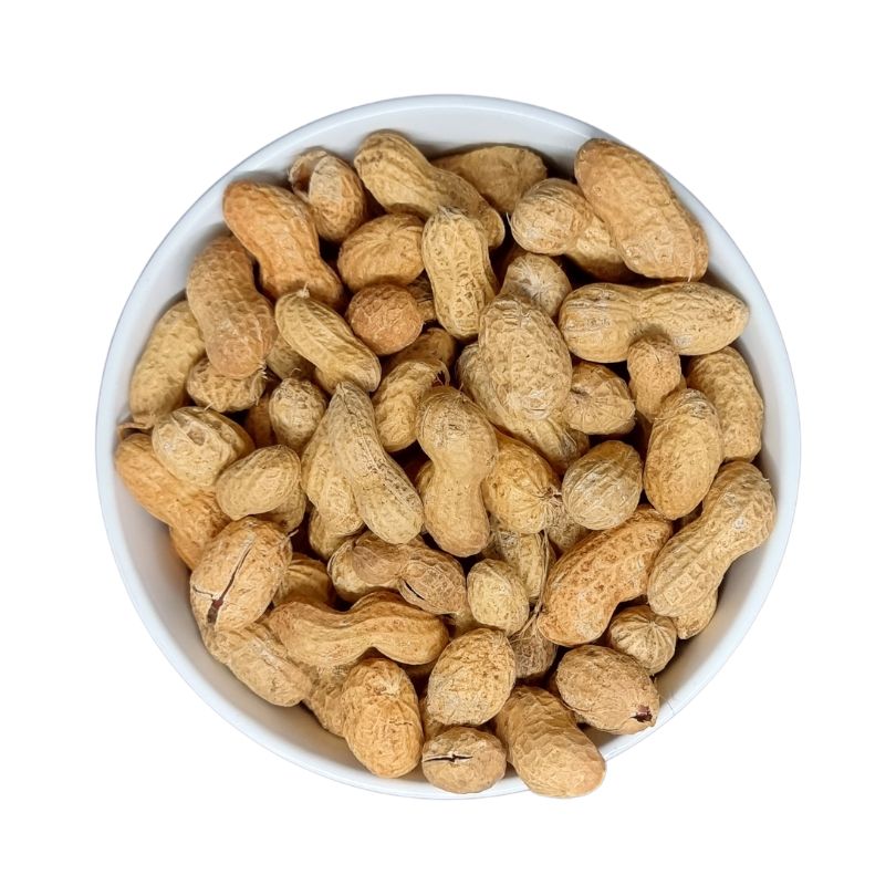 Peanuts in Shell